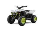 ACTIE: DEMO CF-Moto EV 110, Motoren, Quads en Trikes, 11 kW of minder