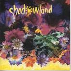 cd - Shadowland - Shadowland, Cd's en Dvd's, Verzenden, Zo goed als nieuw