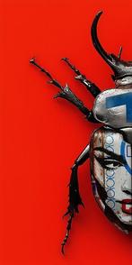 F2B - Beetle Girl I 1I8, Antiek en Kunst