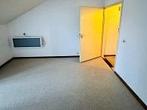 Kamer Meerssenerweg in Maastricht, Overige soorten, Limburg