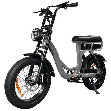 EB8 Elektrische Fatbike – 250W – 18.2Ah – 20 inch – Grijs