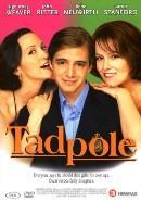 Tadpole - DVD, Cd's en Dvd's, Dvd's | Drama, Verzenden