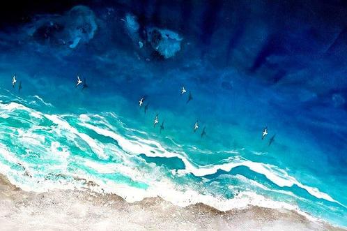 Tetiana Liakhovchuk - “ Flight across the ocean”, Antiek en Kunst, Kunst | Schilderijen | Modern