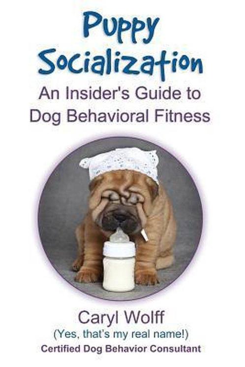 Puppy Socialization 9781500181901 Caryl Wolff, Boeken, Overige Boeken, Gelezen, Verzenden