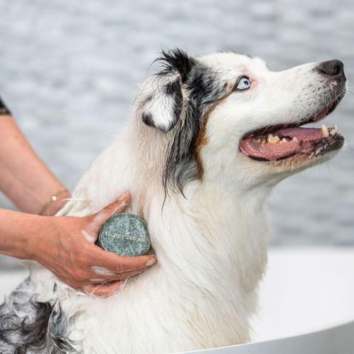 HappySoaps Honden Universeel Shampoo Bar - 70g, Sieraden, Tassen en Uiterlijk, Uiterlijk | Haarverzorging, Shampoo of Conditioner