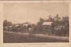 TWENTE - Twentsche Bruiloftstoet, Verzenden, Gelopen