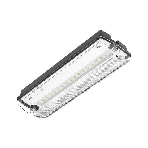 Noodverlichting | Zwart | 3 watt | IP66, Zakelijke goederen, Kantoor en Winkelinrichting | Beveiliging