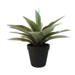 Kunstplanten Agave grijs/groen in zwarte pot 19 cm  - Over.., Huis en Inrichting, Kamerplanten, Ophalen of Verzenden