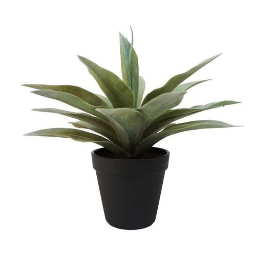 Kunstplanten Agave grijs/groen in zwarte pot 19 cm  - Over.., Huis en Inrichting, Kamerplanten, Ophalen of Verzenden