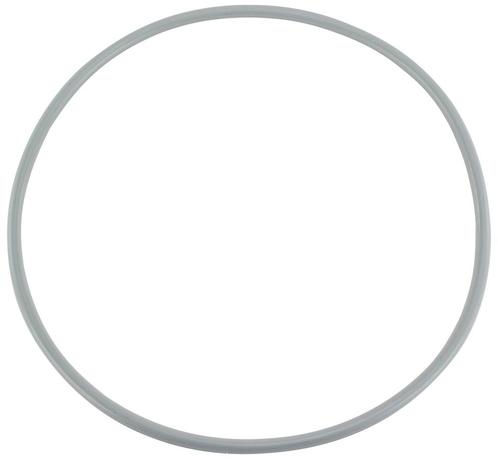 O-ring voor filterdeksel Pentair Triton zandfilter, Tuin en Terras, Zwembad-toebehoren, Nieuw, Verzenden
