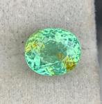 1 pcs Groen Paraiba toermalijn - 4.48 ct - nternational, Sieraden, Tassen en Uiterlijk, Edelstenen, Nieuw