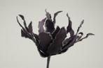 Cactus Ziggo Dark Purple foam Cactus flower foam, Ophalen of Verzenden, Nieuw