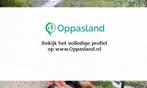 Katrien zoekt een oppas in Heemstede voor 2 kinderen op m..., Vacatures, Vacatures | Schoonmaak en Facilitaire diensten