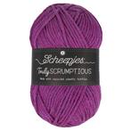 Scheepjes Truly Scrumptious - 376 Açaí Bowl - Garen van Ge, Hobby en Vrije tijd, Breien en Haken, Ophalen of Verzenden, Nieuw