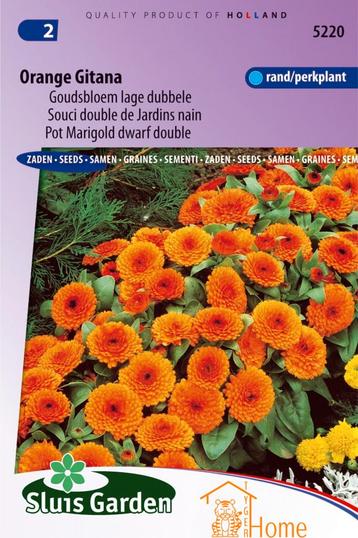 Orange Gitana Goudsbloem Lage Dubbele Bloemen Zaden voor de beschikbaar voor biedingen