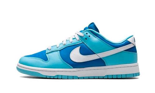 Nike Dunk Low Argon - maat 38.5 (Sneakers, Schoenen), Kleding | Dames, Schoenen, Sneakers of Gympen, Nieuw, Verzenden