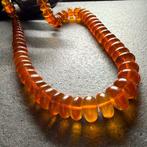 Oude Baltische amber donuts halsband in cognac, 70,0 g. -, Verzamelen, Nieuw