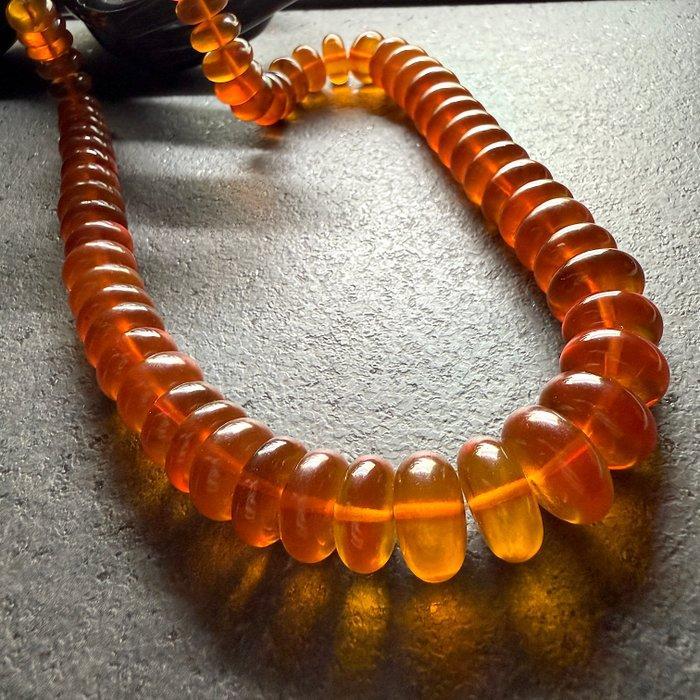Oude Baltische amber donuts halsband in cognac, 70,0 g. -, Verzamelen, Dierenverzamelingen