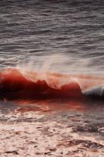 Susana Galbis - El mar en sangre, Antiek en Kunst