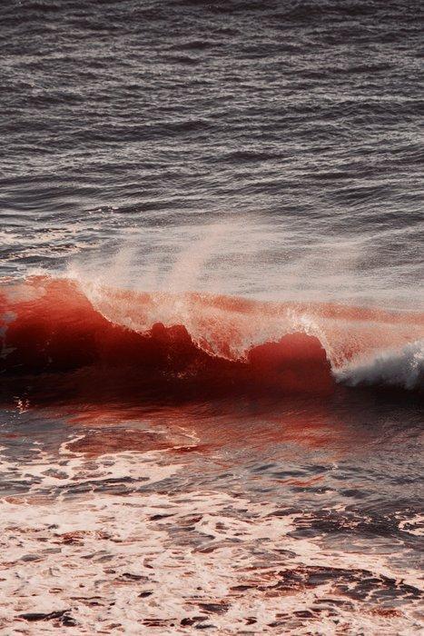 Susana Galbis - El mar en sangre, Antiek en Kunst, Kunst | Designobjecten