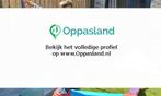 Jowita zoekt een oppas in Dordrecht voor 1 kind op donder..., Vacatures