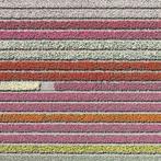 Bernhard Lang - AV_Tulip_Fields_028