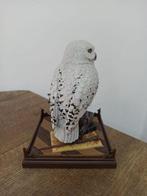 Harry Potter, Magical Creature Statue of Harry Potters owl, Verzamelen, Nieuw