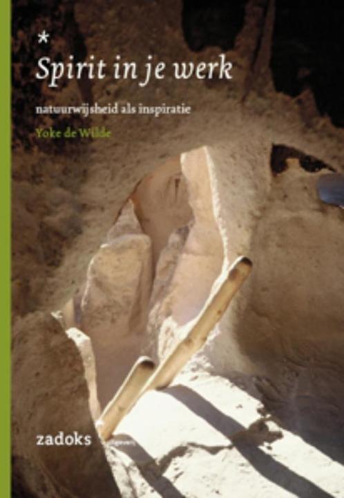 Spirit in je werk 9789081112567 Yoke de Wilde, Boeken, Psychologie, Gelezen, Verzenden