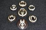Wild Boar Tusk Trophies Bot - Sus scrofa - 0 cm - 0 cm - 0, Verzamelen, Dierenverzamelingen, Nieuw