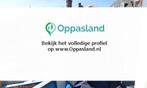 Jan zoekt een oppas in Haarlem voor 1 kind voor 7 dagen i..., Vacatures, Vacatures | Klantenservice en Callcenter
