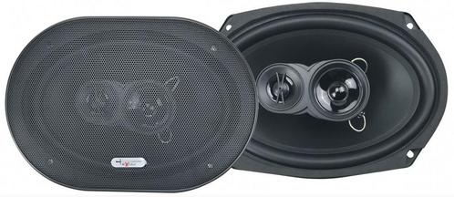 Speakerset (2 stuks) Excalibur X693 (500W ovaal), Audio, Tv en Foto, Luidsprekers, Nieuw, Verzenden