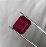 1 pcs Rood, Roze Toermalijn - 12.72 ct - International, Nieuw