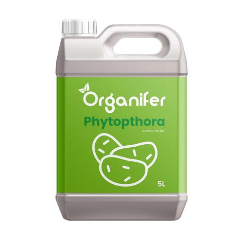 Phytophthora Concentraat - 5 l voor 5000 m2, Tuin en Terras, Aarde en Mest, Mest, Verzenden