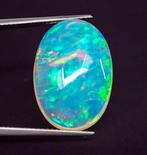 Zonder Minimumprijs Opaal - 11.13 ct - Gem Report Antwerp, Nieuw