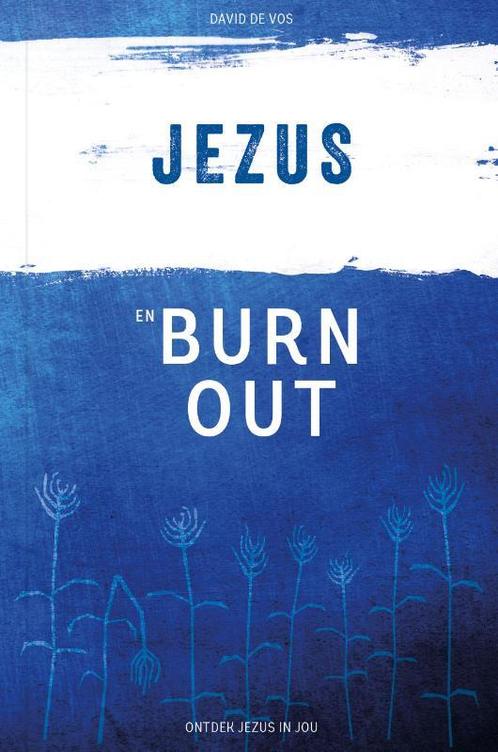 Jezus en burn-out 9789079807208 David de Vos, Boeken, Godsdienst en Theologie, Zo goed als nieuw, Verzenden