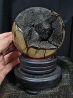 Beautiful large sphere of Septaria - Septarie - Dragon egg -, Verzamelen, Mineralen en Fossielen