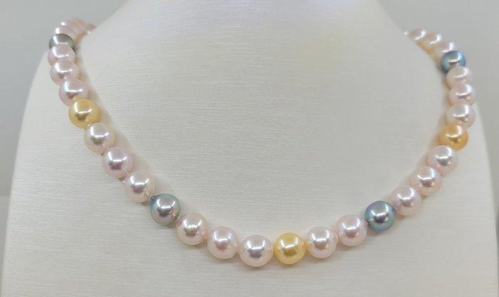 Halsketting 8,5x9 mm Multi Akoya- en gouden parels, Sieraden, Tassen en Uiterlijk, Kettingen