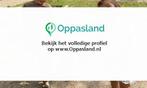 Imke zoekt een oppas in Amersfoort voor 3 kinderen op din..., Vacatures
