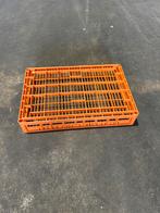 kratten 60x40x10 cm geperforeerd voedselgeschikt stapelkrat, Gebruikt, 40 tot 60 cm, 50 tot 75 cm, Minder dan 35 cm
