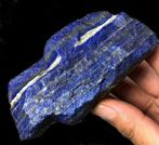 Lapis-Lazuli 501g 10,20 x 5,70 x 5,50 Koningbewaker en
