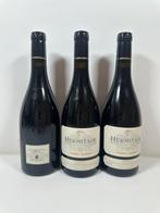 2010 Tardieu Laurent, Hermitage - Rhône - 3 Flessen (0.75, Nieuw
