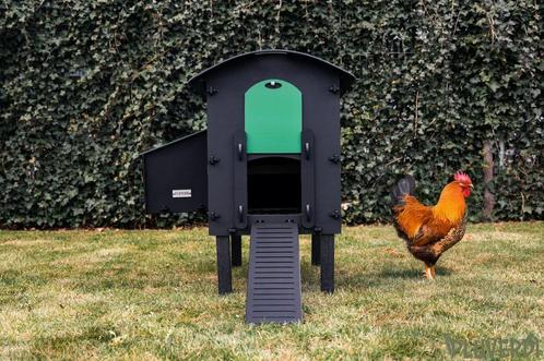Pluverdi kippenhok Amsterdam met autom.opener € 575,-, Dieren en Toebehoren, Pluimvee | Toebehoren, Kippenhok of Kippenren, Nieuw
