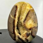 Septaria Wild Yellow Crystals Fine Large Wild Septaria, Verzamelen, Mineralen en Fossielen