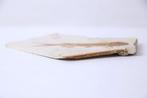 Gefossiliseerd dier - Mesozoic Fossil Fish - 7.5 cm - 11 cm, Verzamelen, Mineralen en Fossielen
