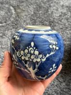 Gemberpot (4) - Fijne Prunus Gemberpotten - Porselein - Geen