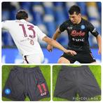Napoli - Italiaanse voetbal competitie - hirving Lozano, Nieuw