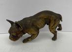 Vienna Foundry - Beeldje - French Bulldog - Vienna cold