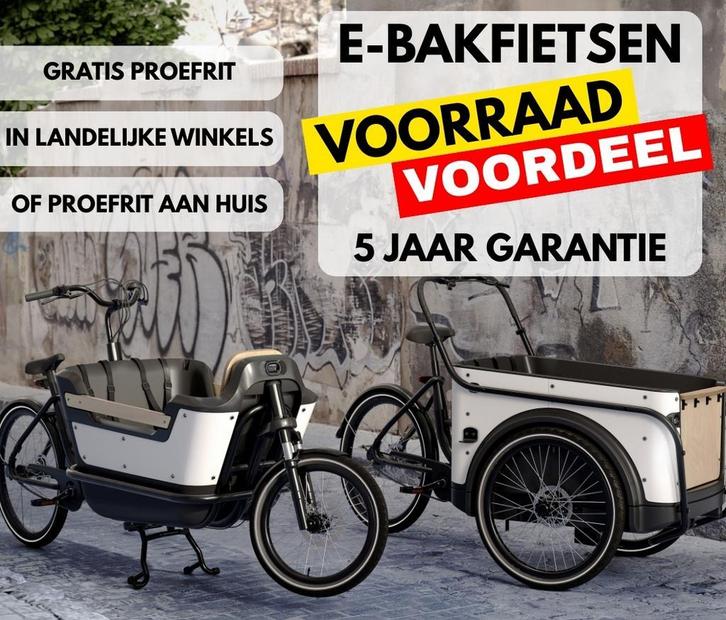 Elektrische bakfiets Royal Cargo bike twee en driewieler RTD, Fietsen en Brommers, Fietsen | Bakfietsen, 4 kinderen of meer, Elektrisch