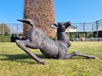sculptuur, Levensecht hert - 70 cm - Brons