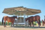 NIEUW!! Vierkante hooiruif met groot klimatiseringsdak 36m2!, Dieren en Toebehoren, Stalling en Weidegang, 4 paarden of pony's of meer